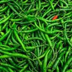 Green Chili
